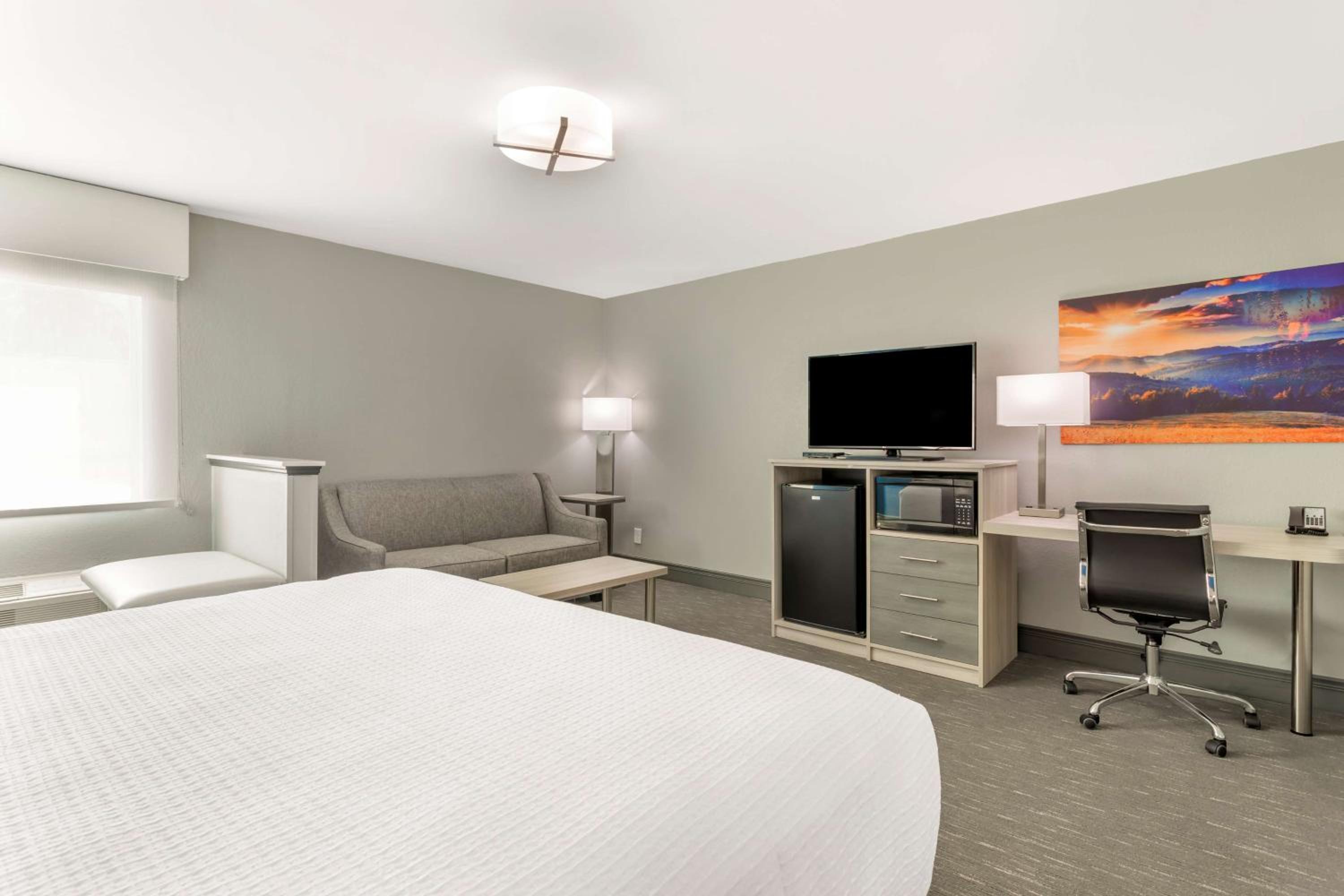 King Suite with Sofa Bed - Non-Smoking