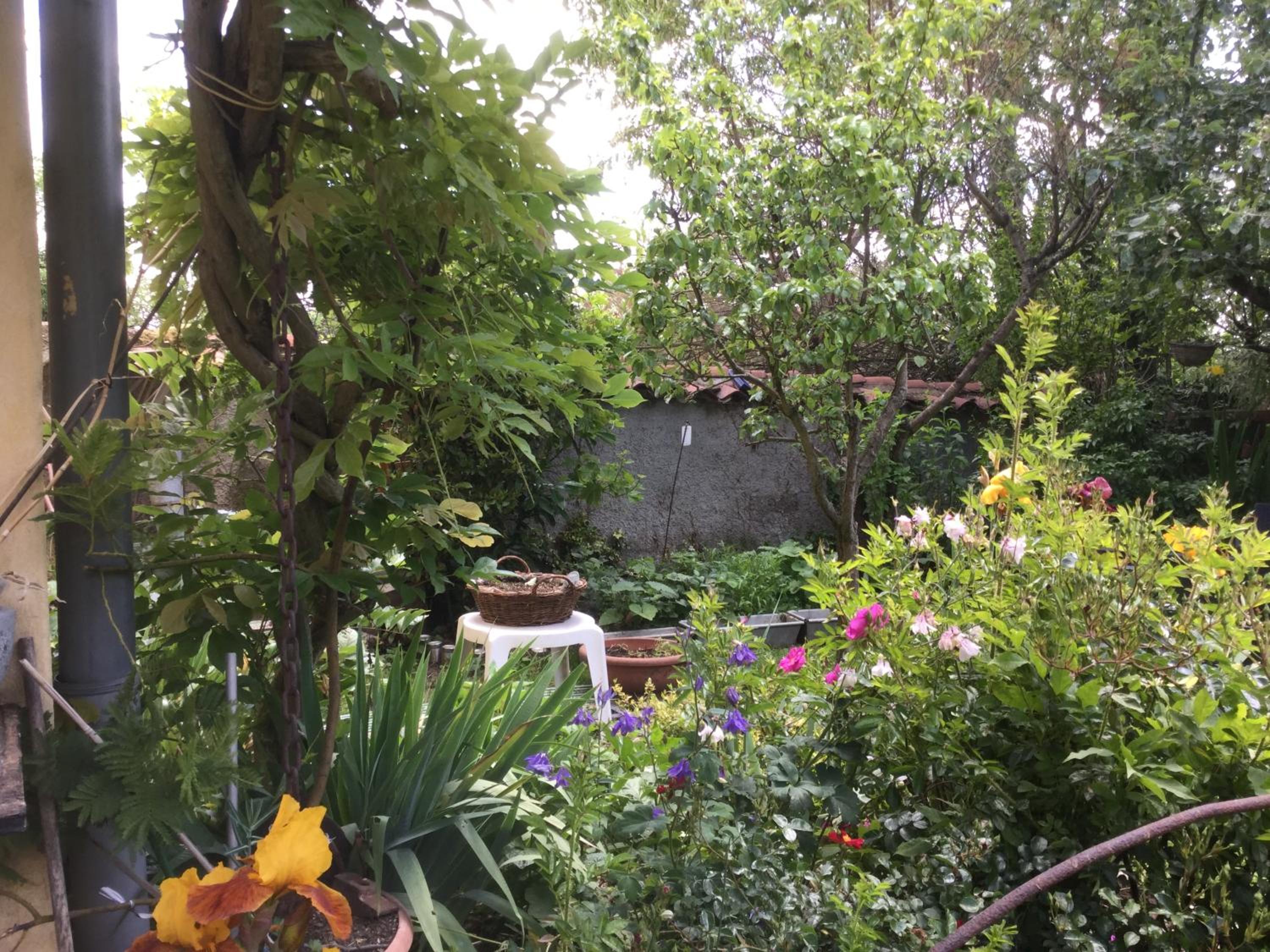 Double Room with Garden View - Photo 6