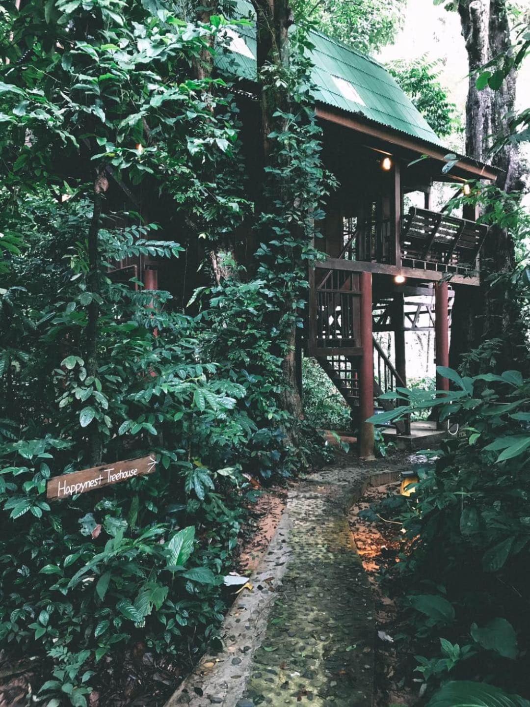 Treehouse 2-Story photo 2