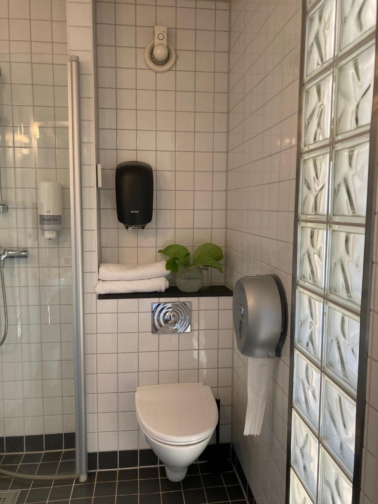 Budget Single Room photo 2