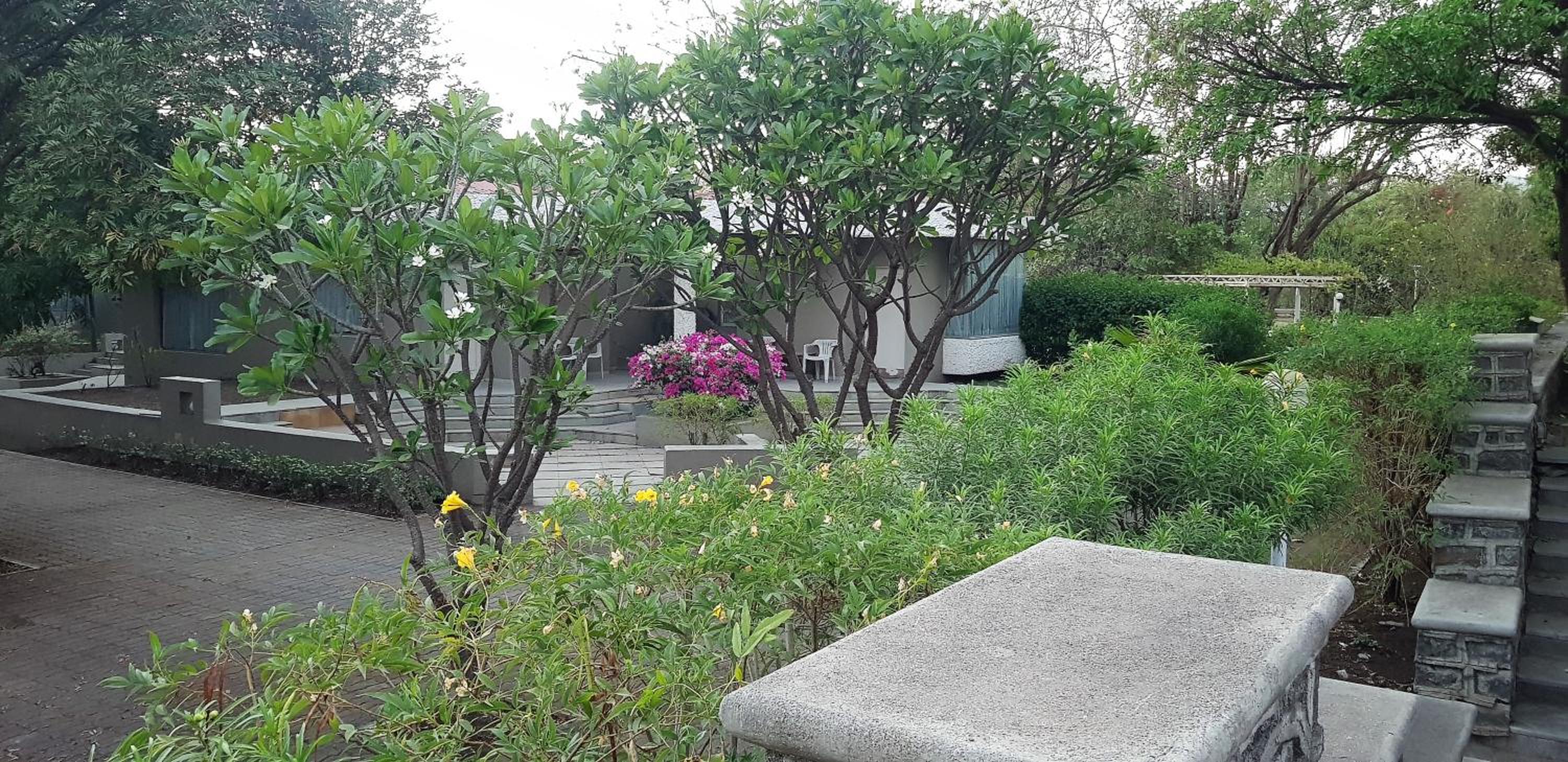 Deluxe Double or Twin Room with Garden View - Photo 8