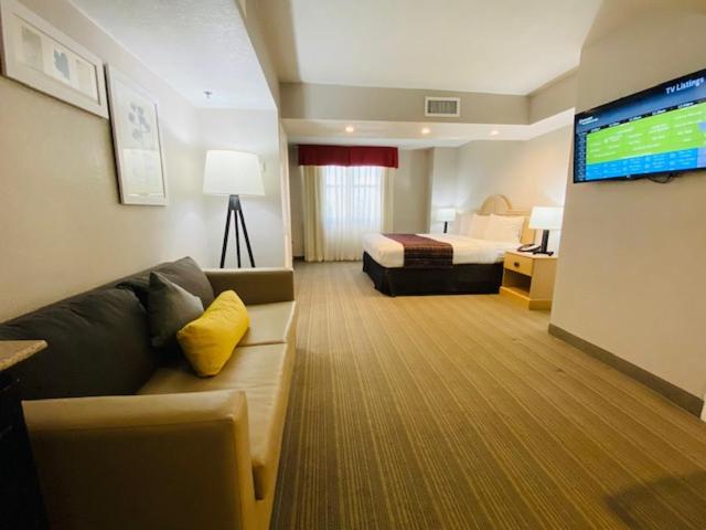 One-Bedroom King Suite - Non-Smoking - Photo 11