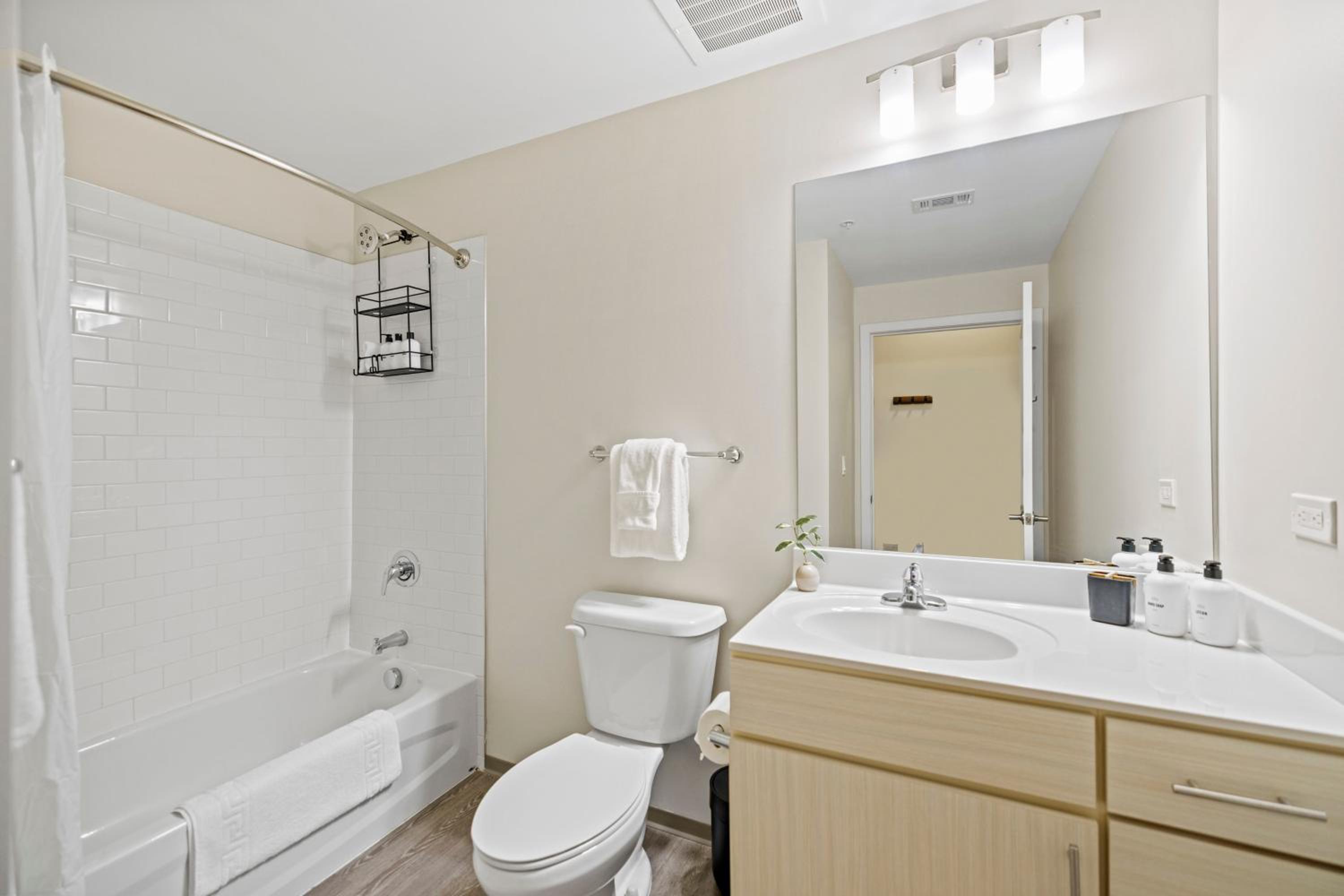 Studio Suite - Photo 9