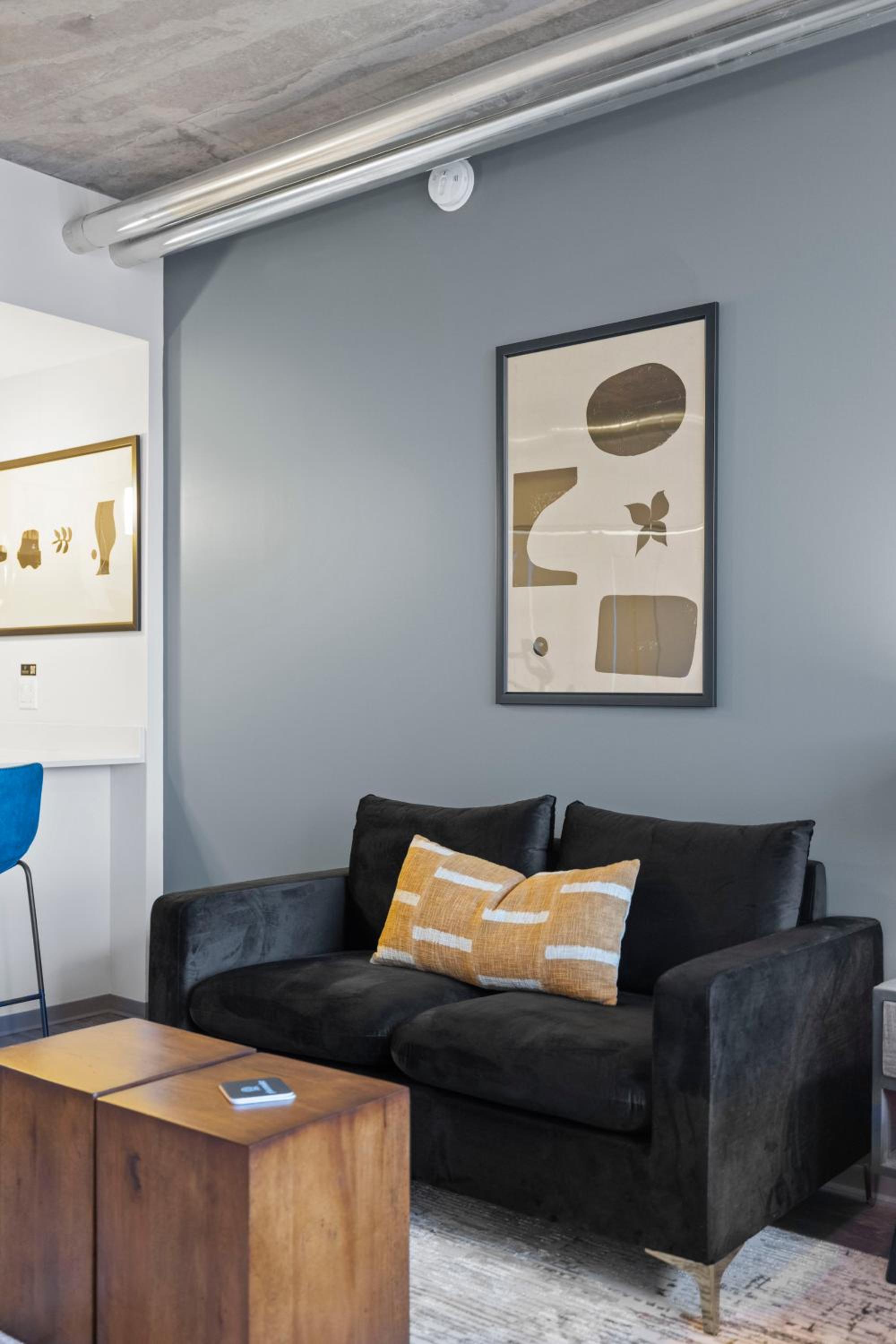 Studio Suite - Photo 16