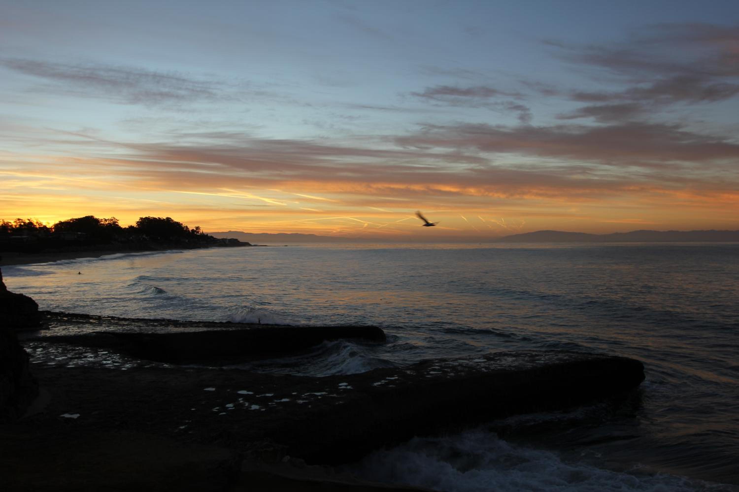 Captains Quarters (12), Ocean View King - No Pets - Photo 8