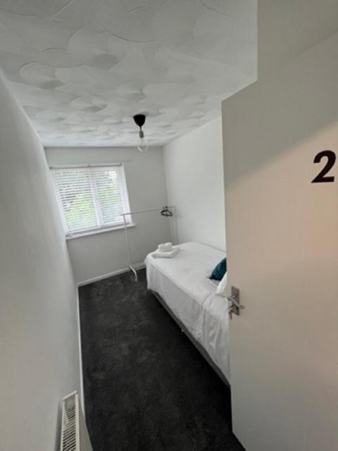 Single Room photo 1
