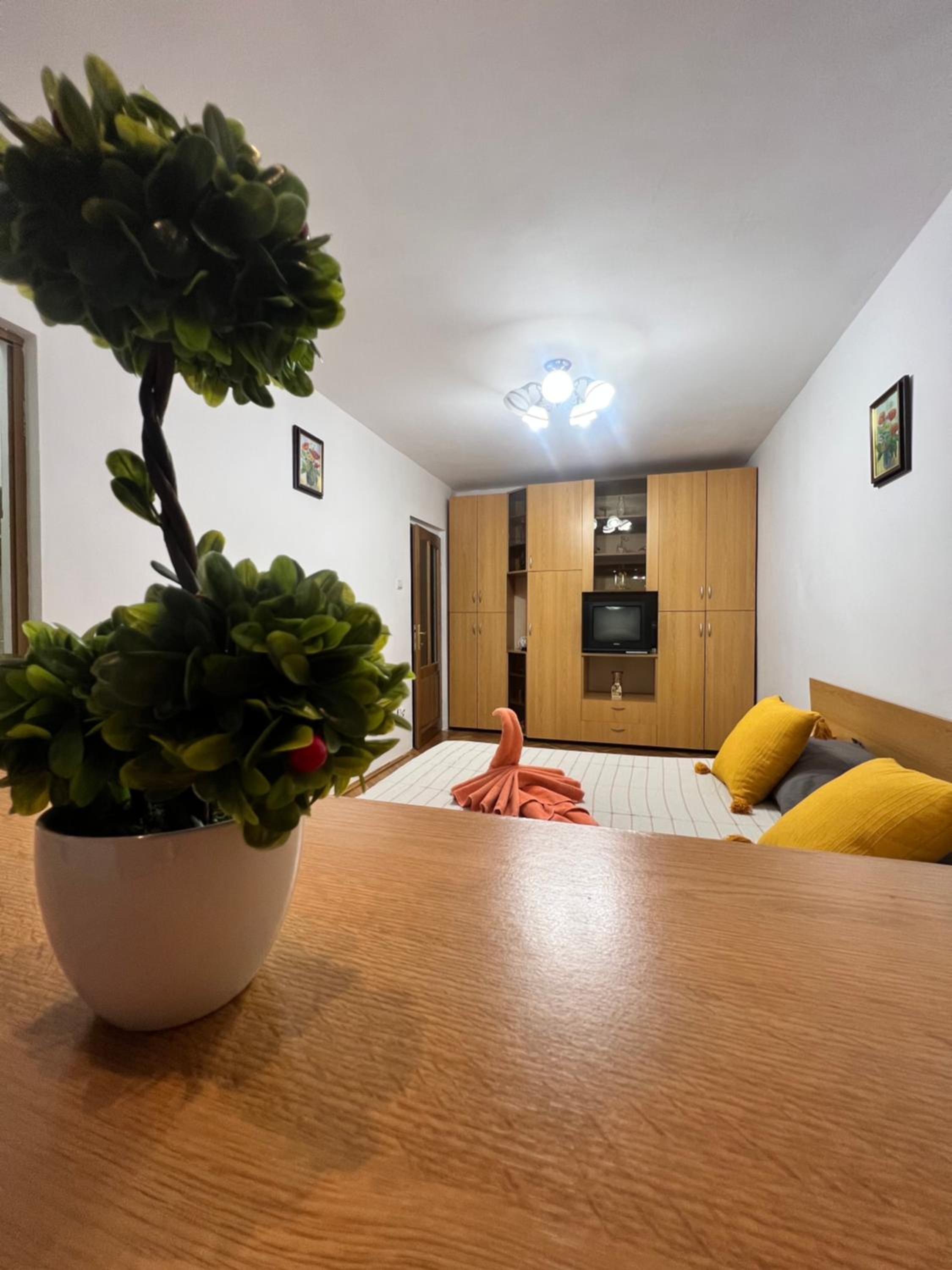 One-Bedroom Apartment - Photo 6