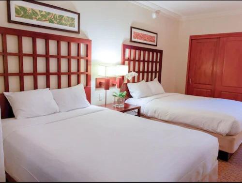 Comfort Studio Suite photo 2