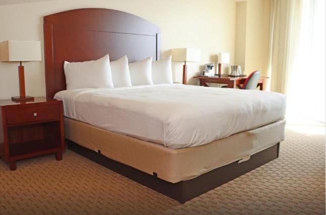 Executive Studio Suite photo 1
