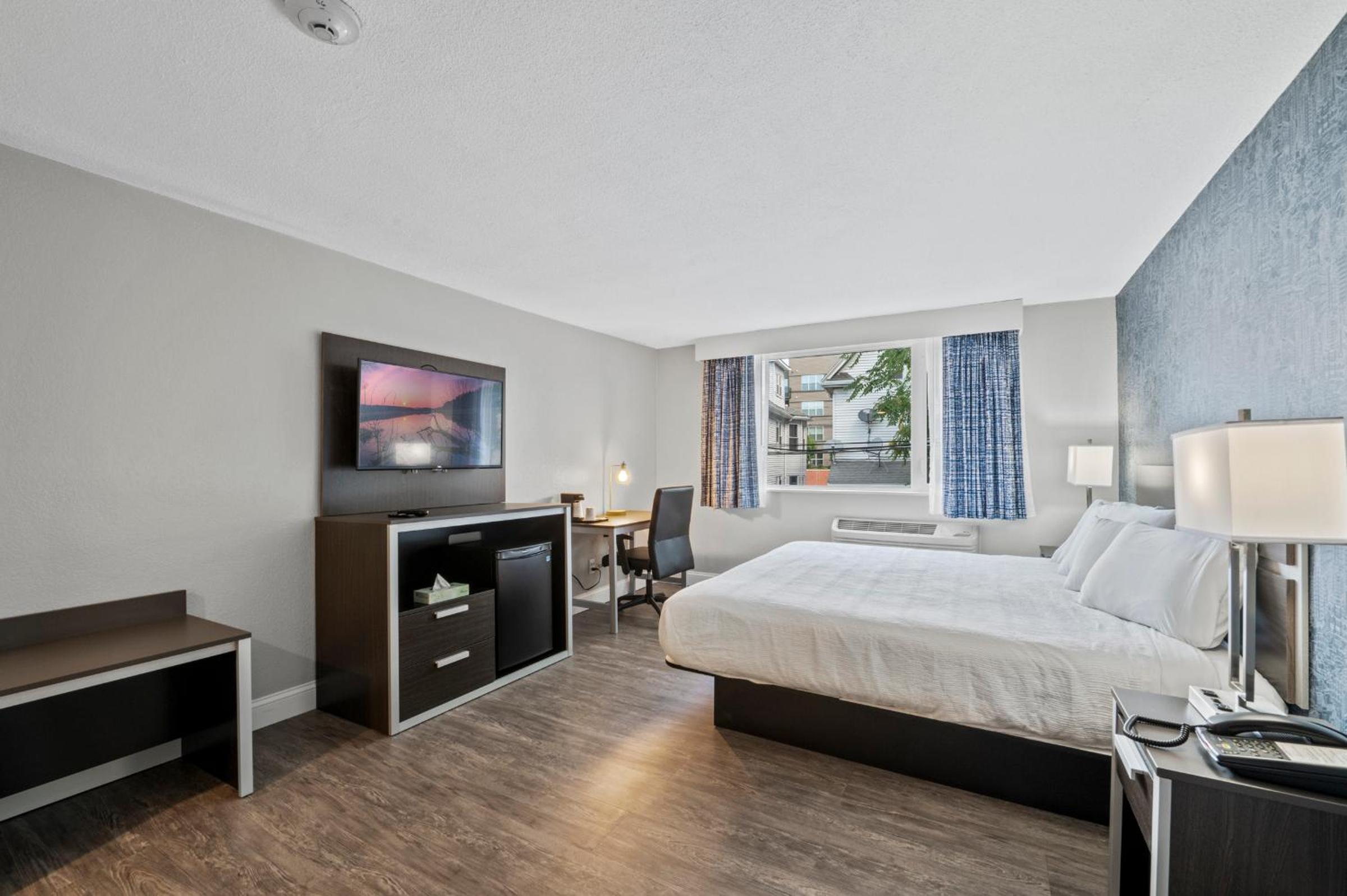 King Room photo 2
