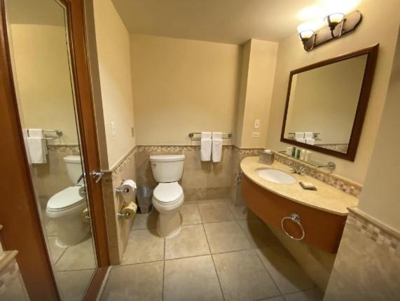 Comfort Studio Suite photo 3