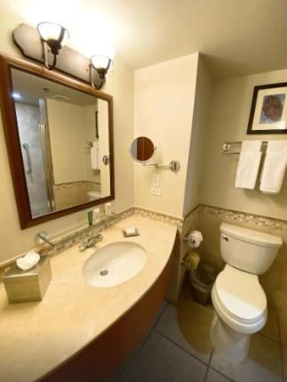 Grand Studio Suite photo 2