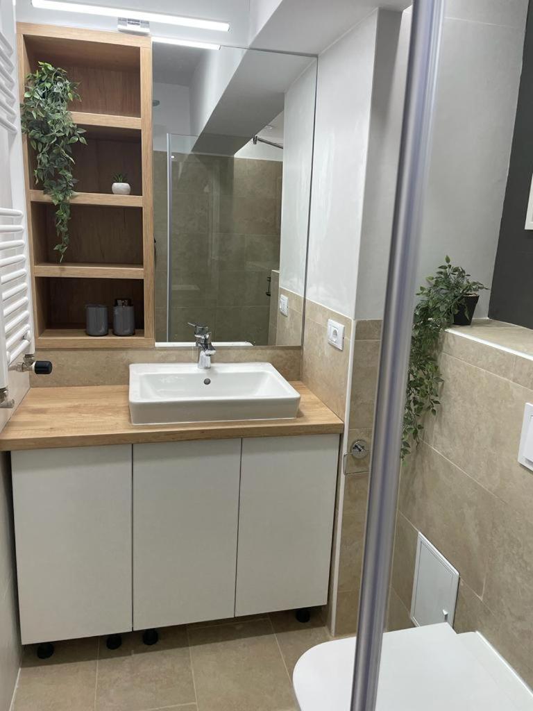 One-Bedroom Apartment - Photo 13