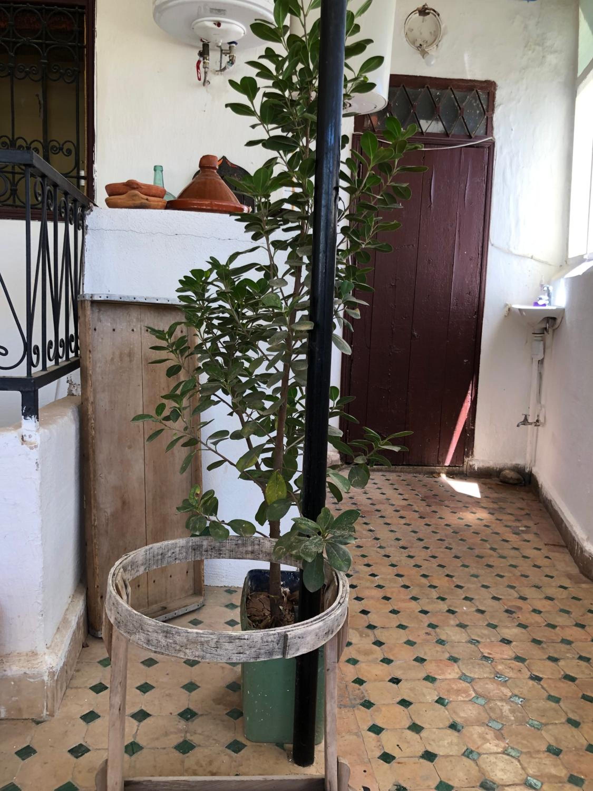 Double Room with Shower - Photo 10