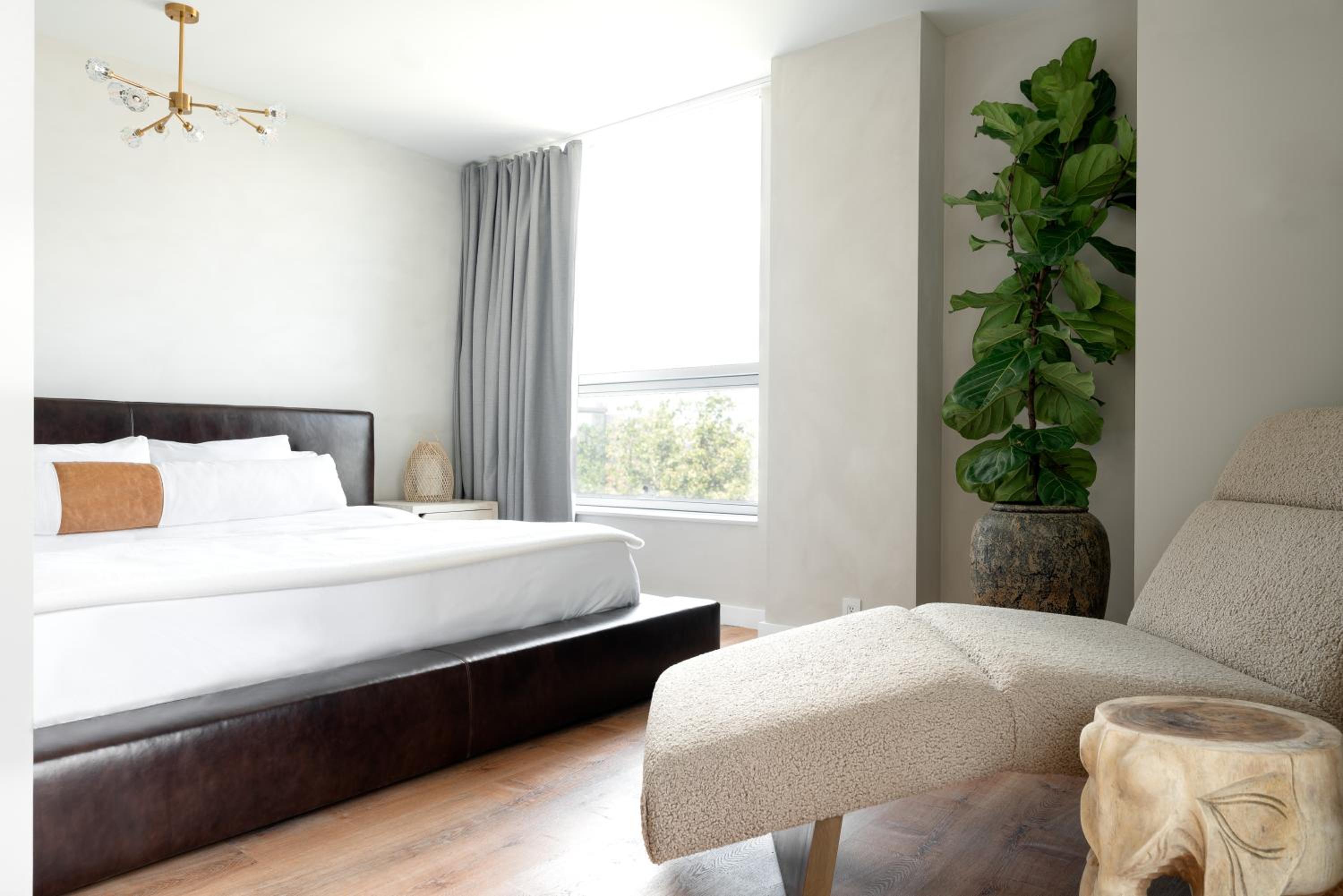Coda Penthouse photo 2