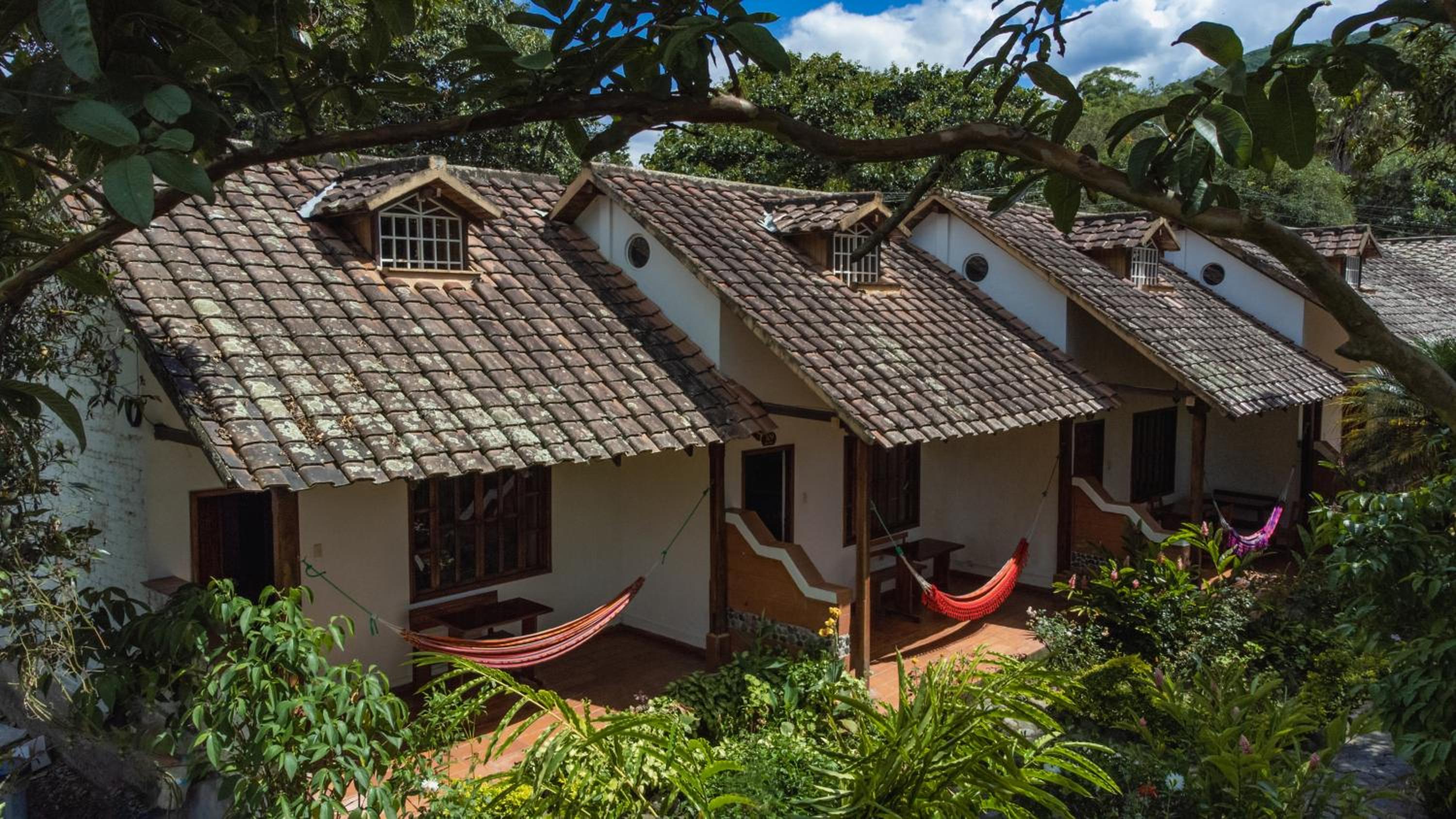 Family Bungalow photo 3