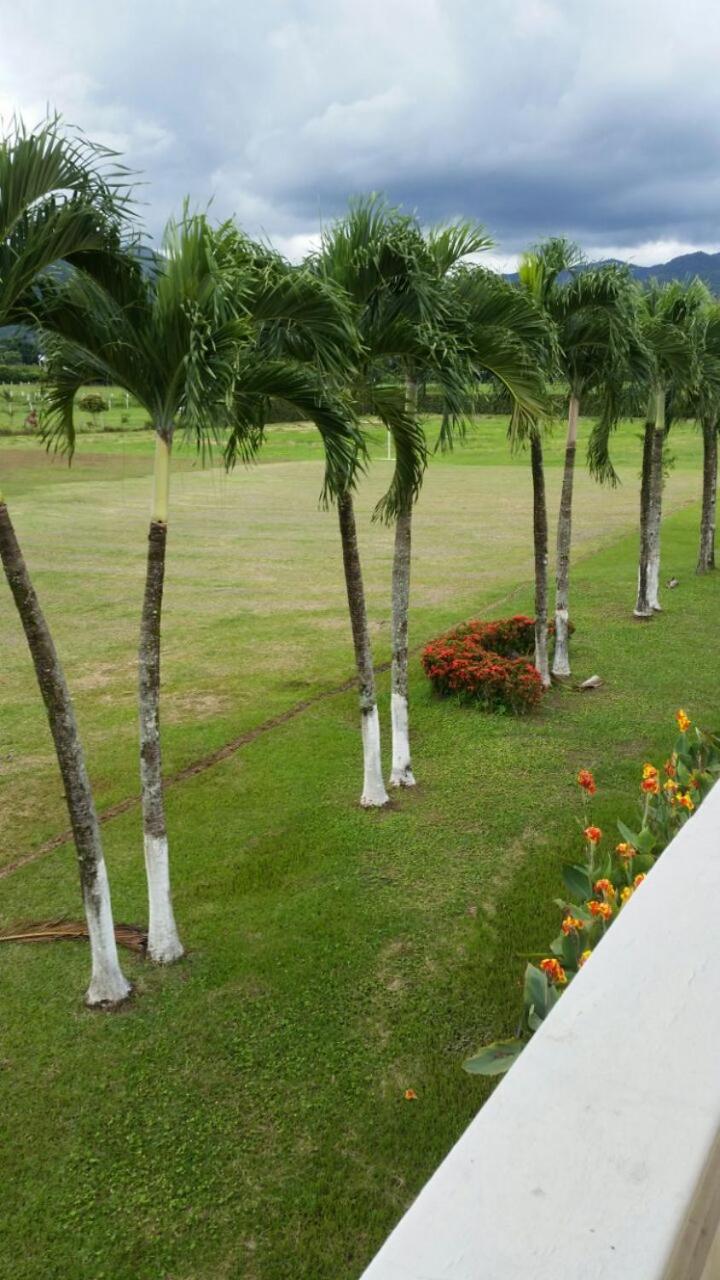 Villa photo 3