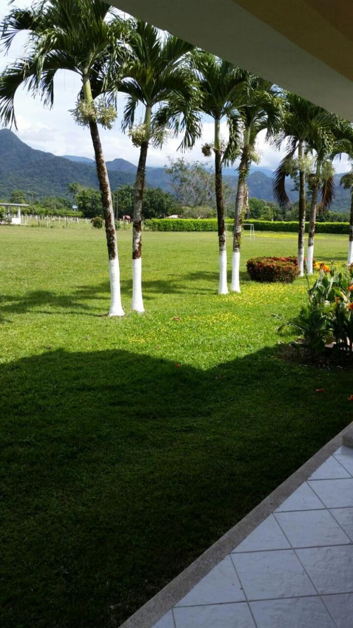Villa photo 1