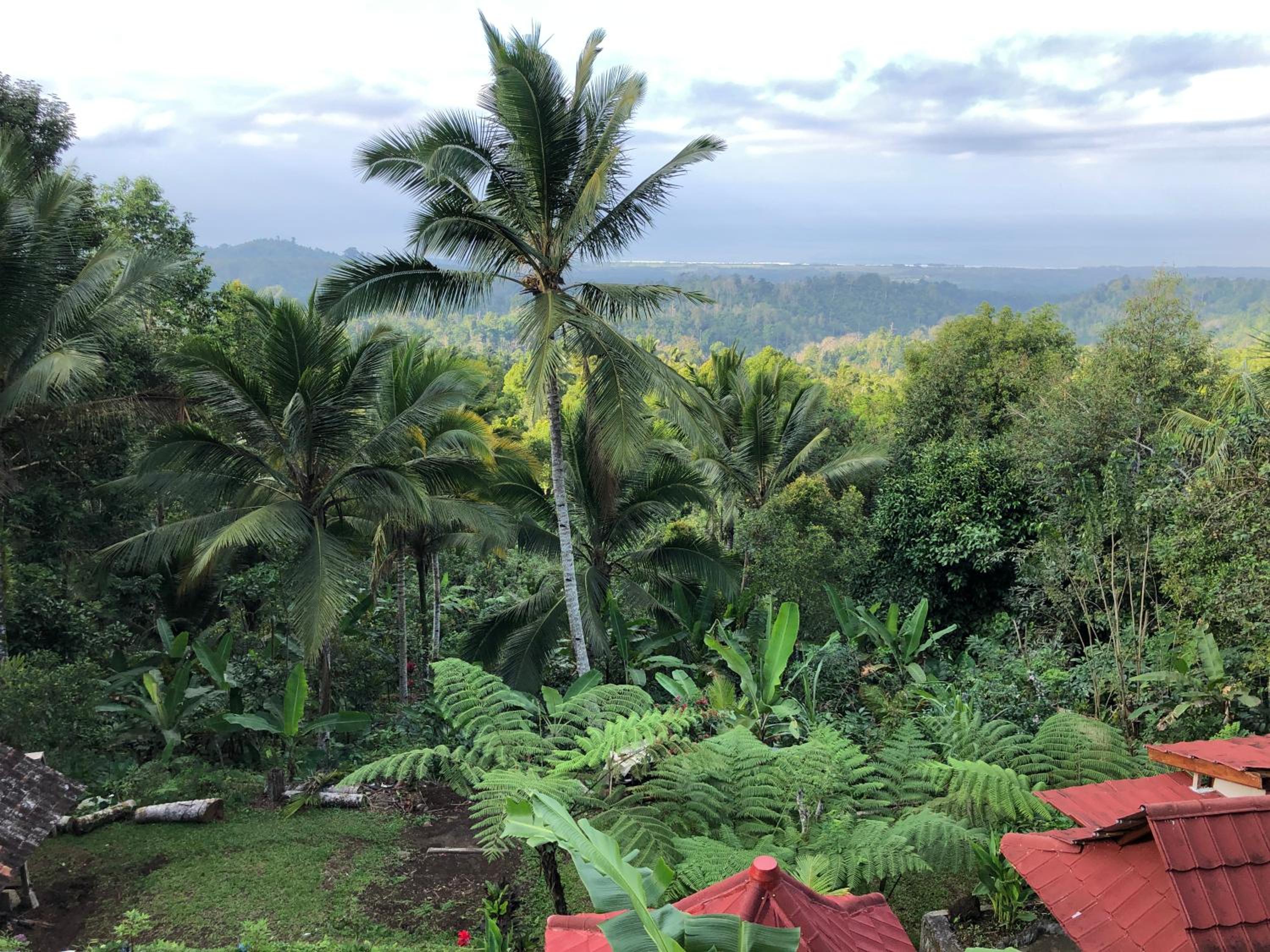 Villa with Garden View - Photo 6