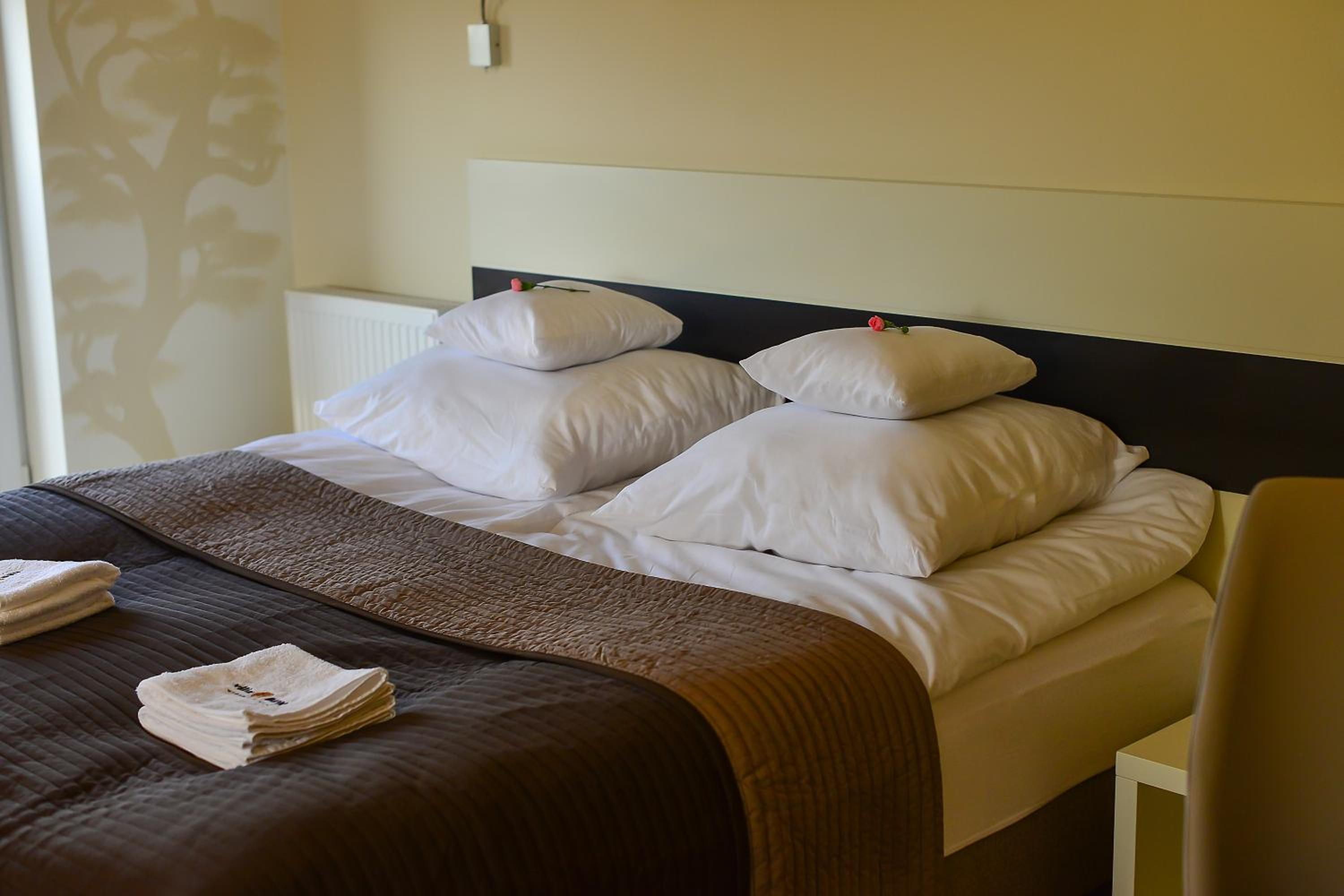Deluxe Double or Twin Room with Balcony photo 1