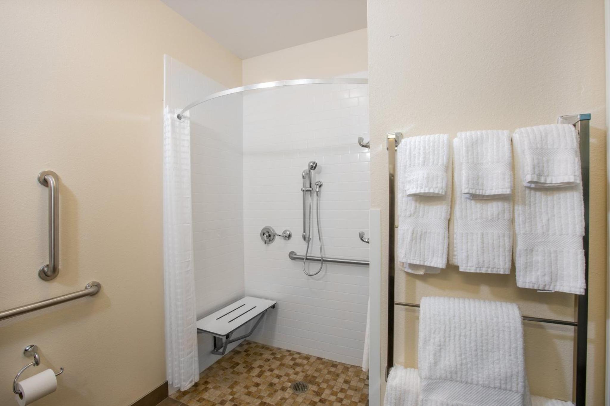 Suite - Mobility Access Roll in Shower/Non-Smoking photo 2