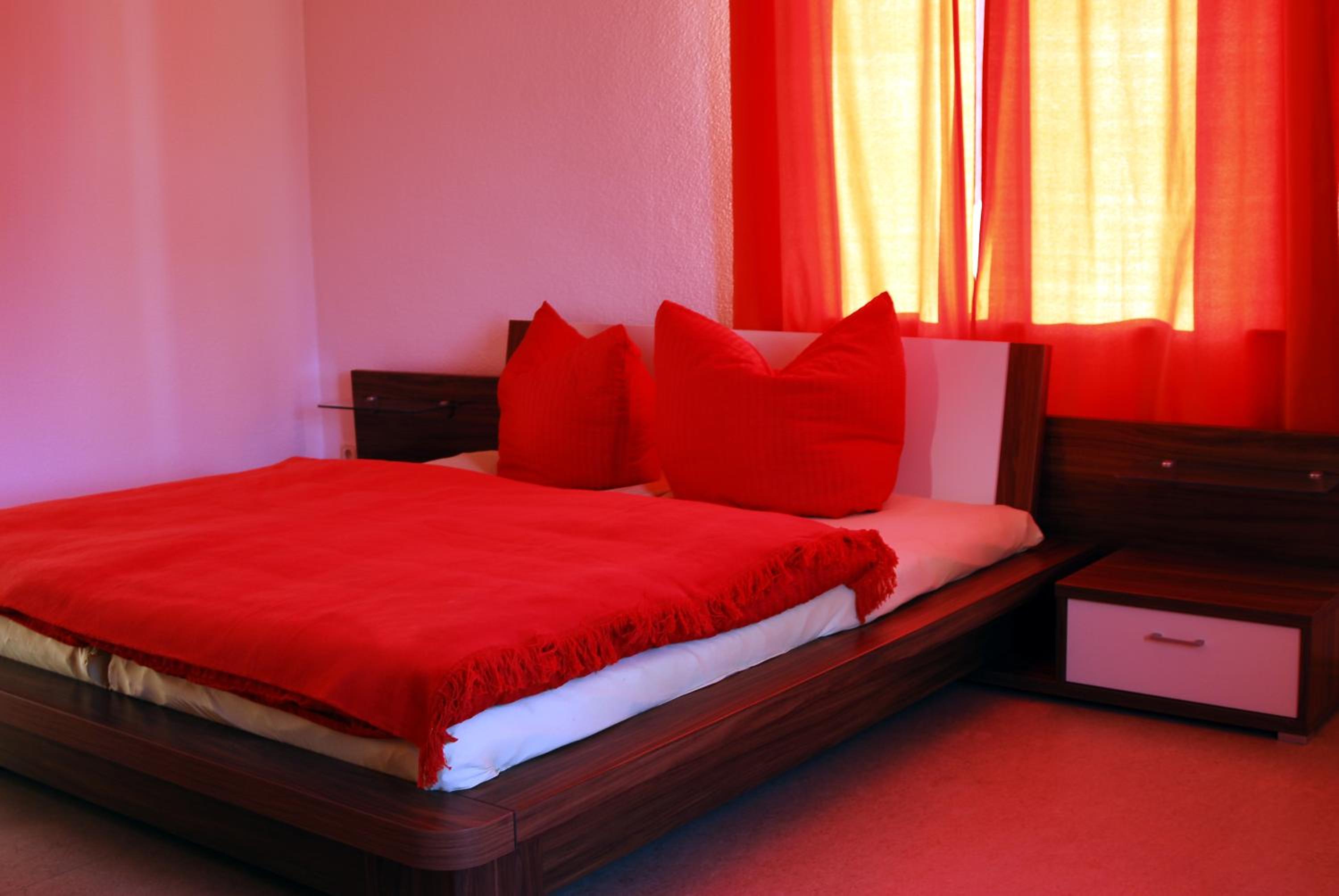 Suite - Photo 1