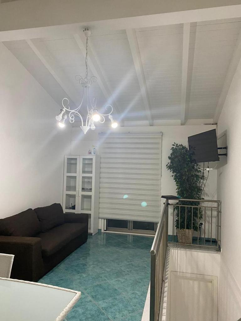 Studio with Terrace photo 1
