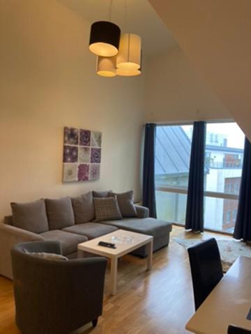 Large One-Bedroom Apartment