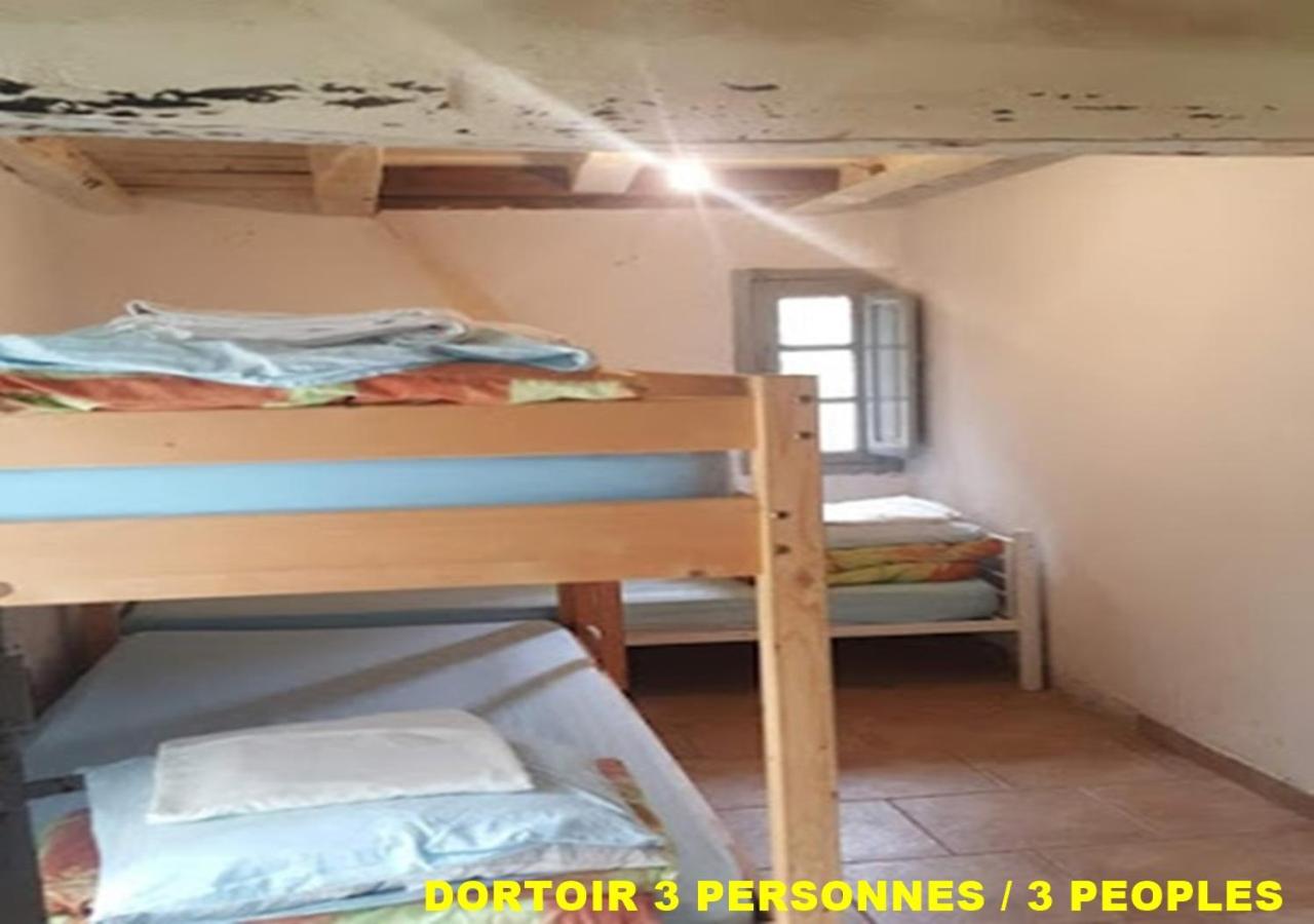 Bed in 3-Bed Mixed Dormitory Room photo 1