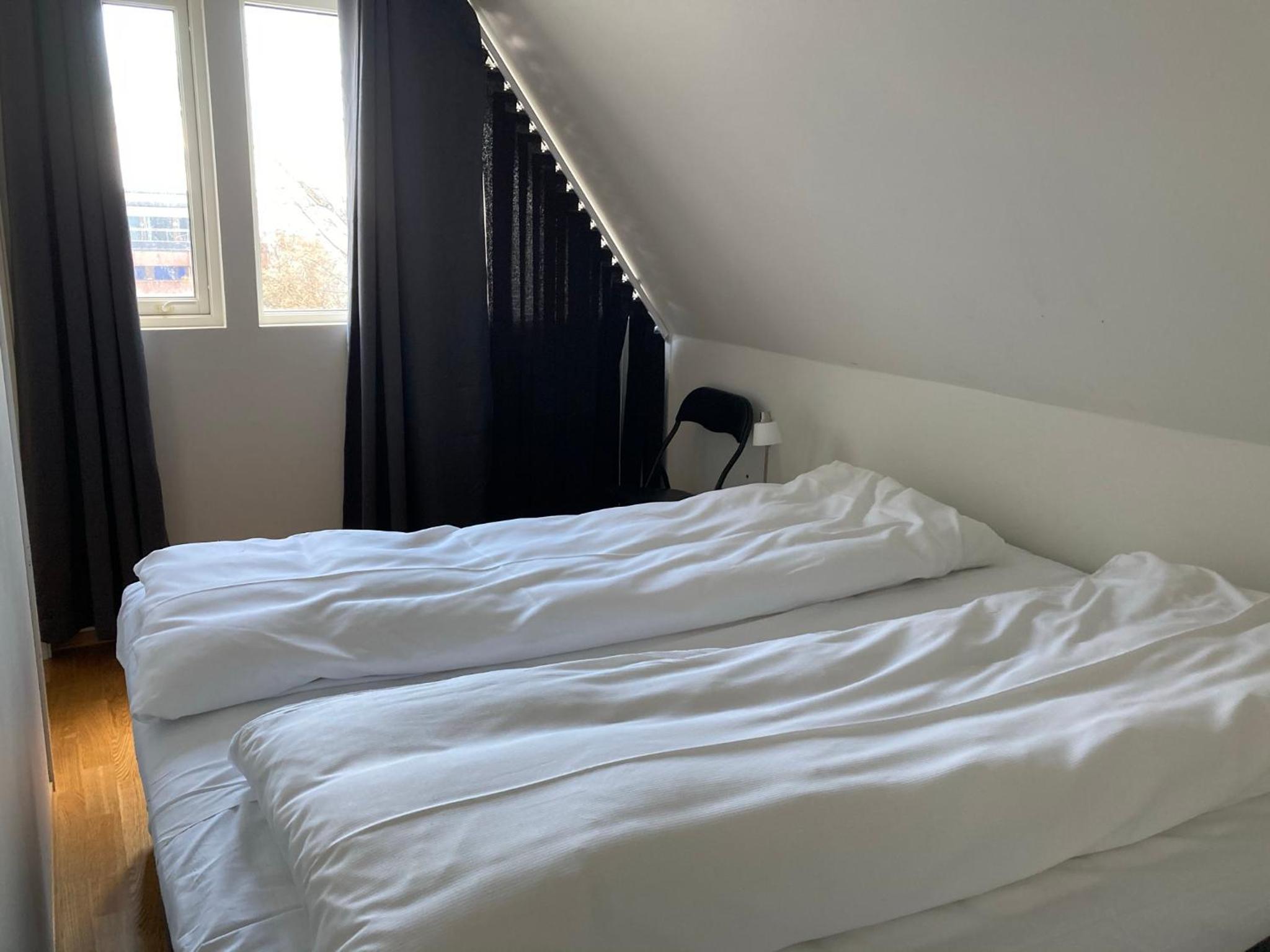 Large One-Bedroom Apartment photo 2