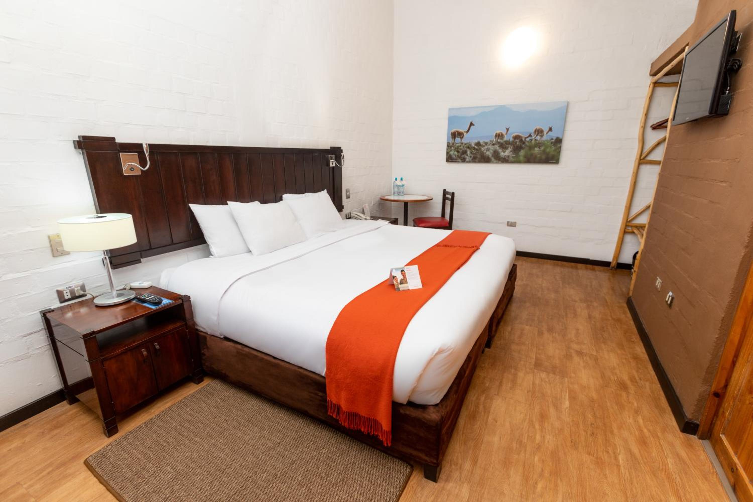 Traditional Room - Photo 1