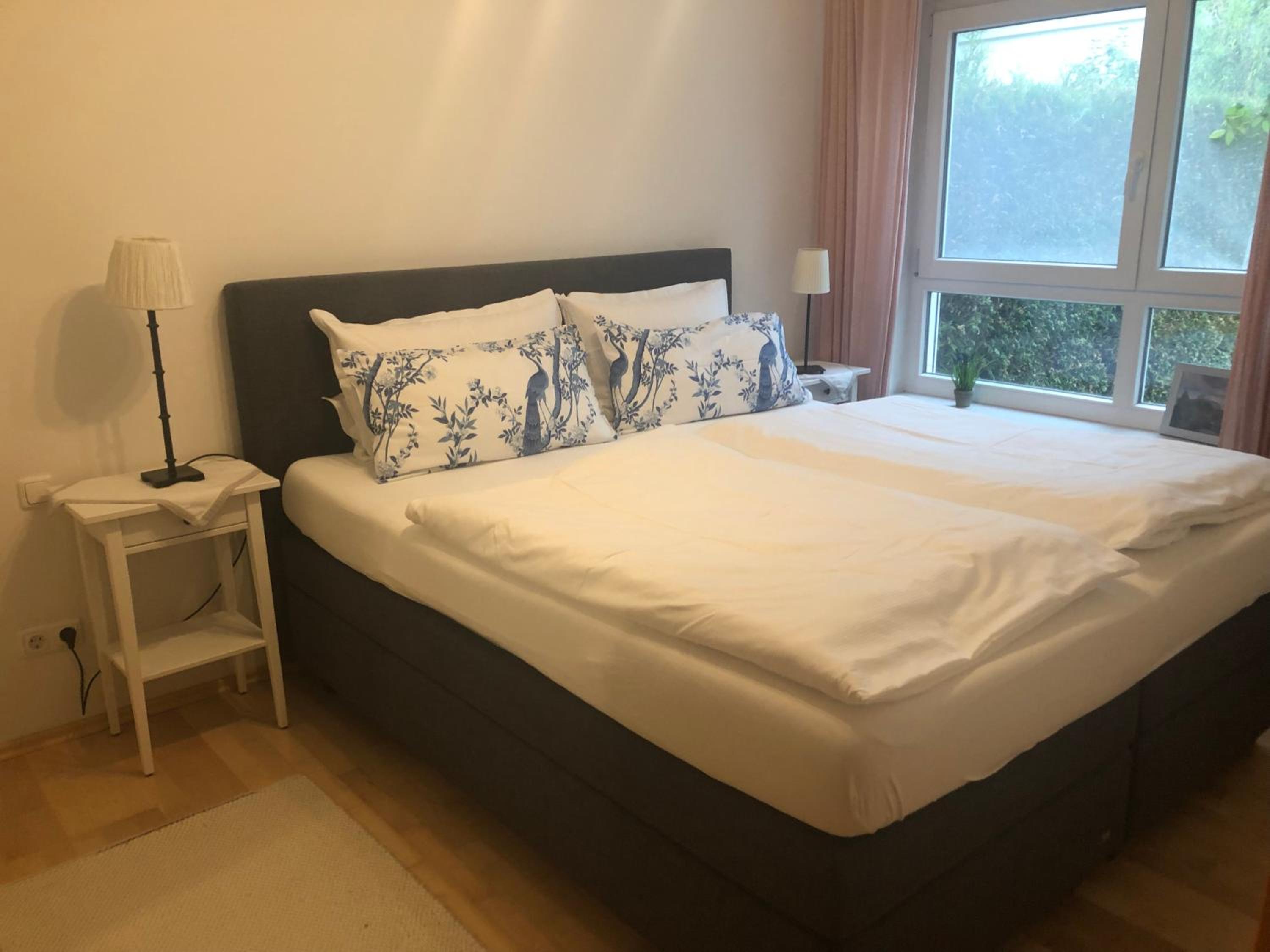 Apartment with Terrace photo 3