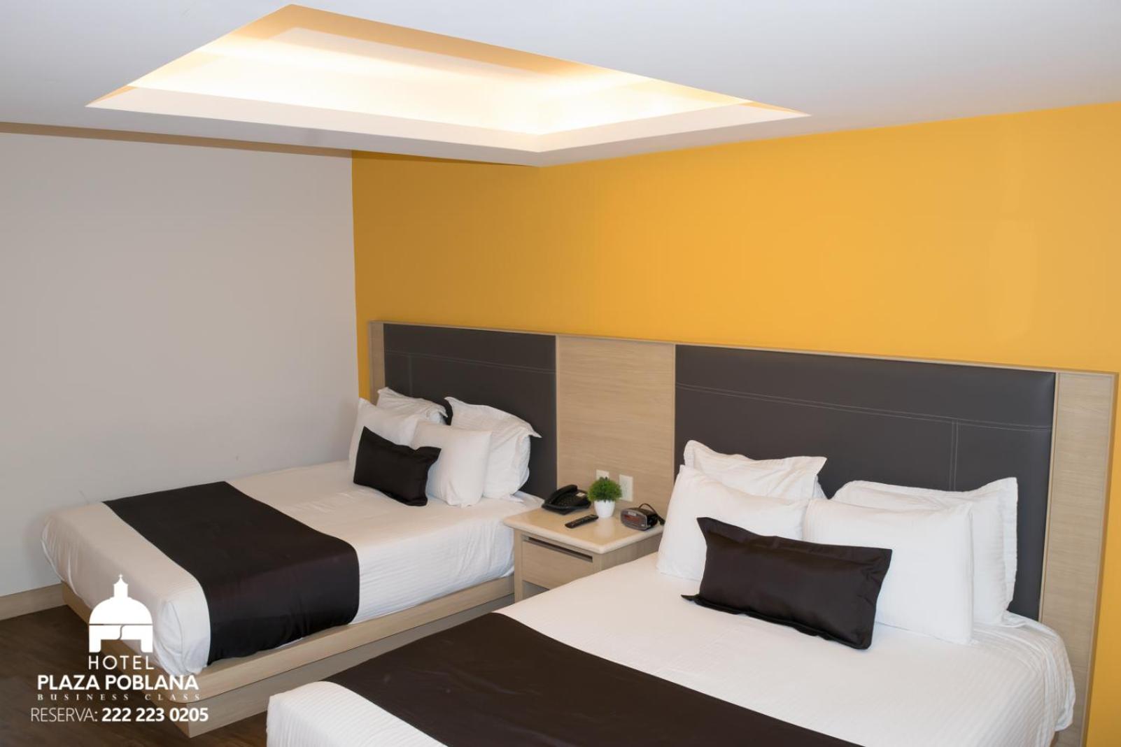 Executive Double Room with Two Double Beds - Photo 5