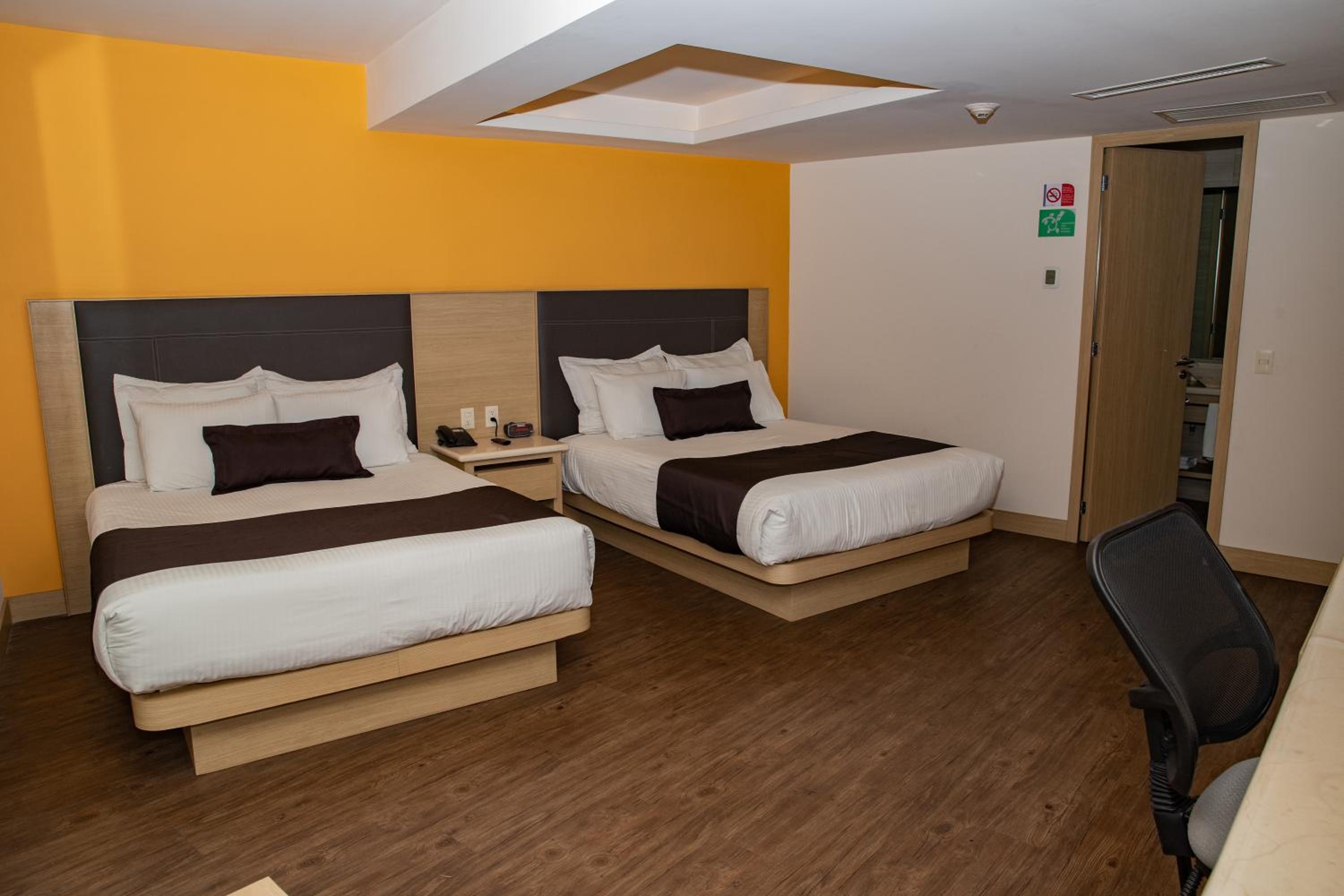 Executive Double Room with Two Double Beds - Photo 7