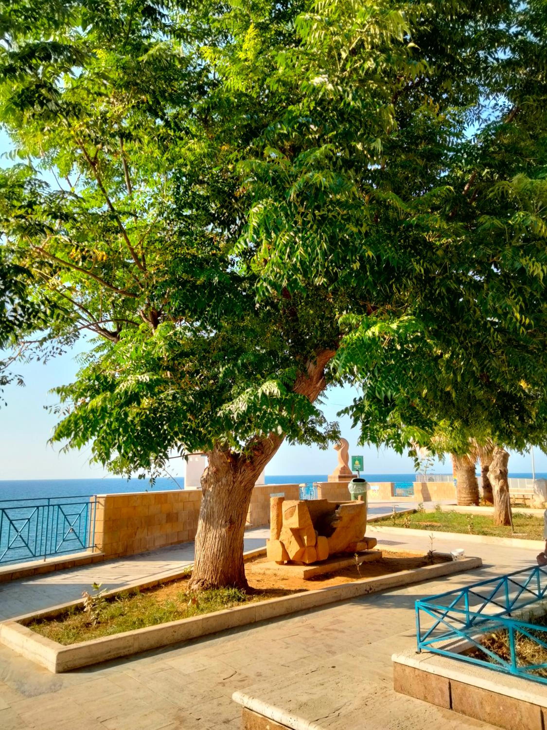 Apartment with Sea View - 2 - Photo 24