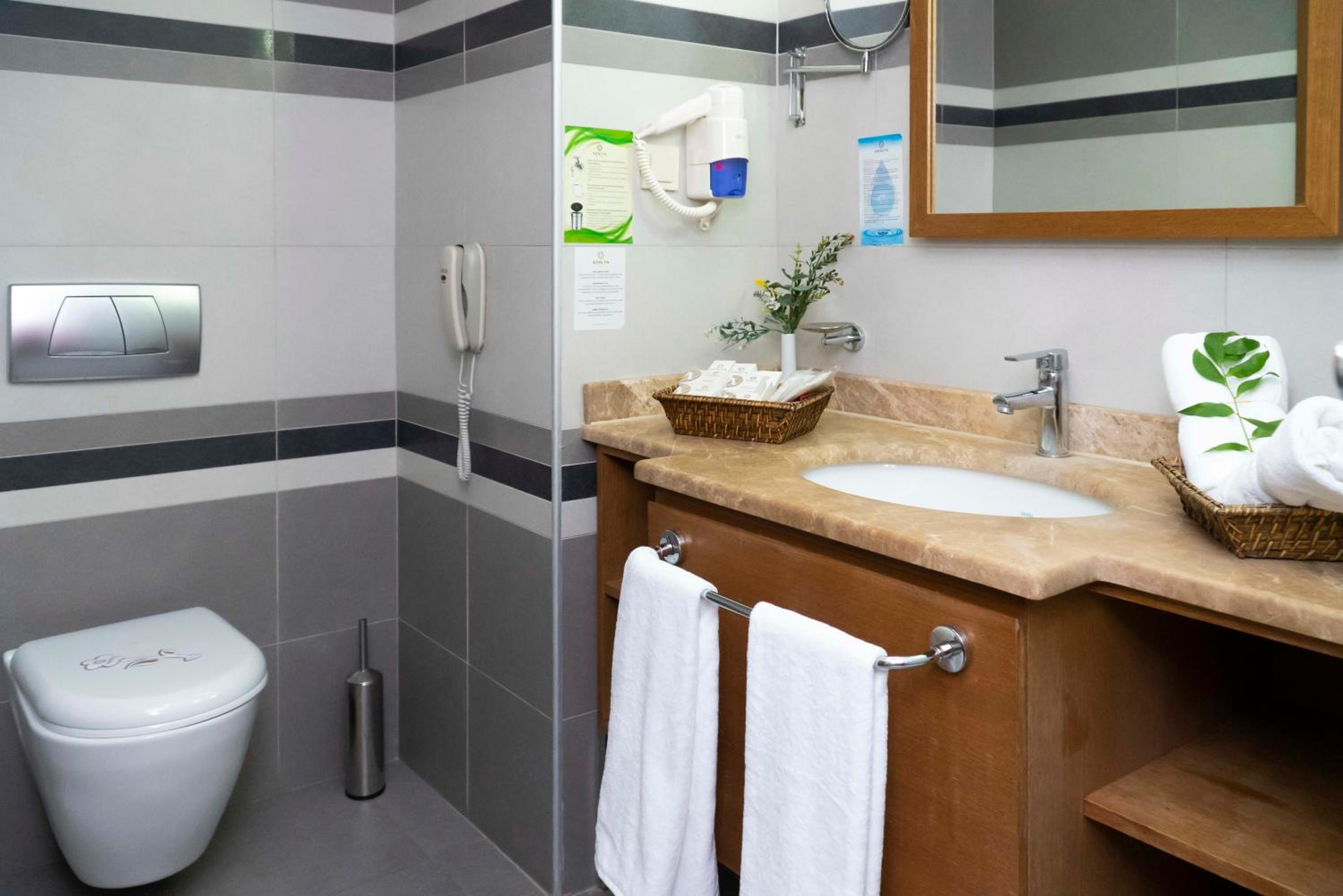 Double or Twin Room with Land View photo 3