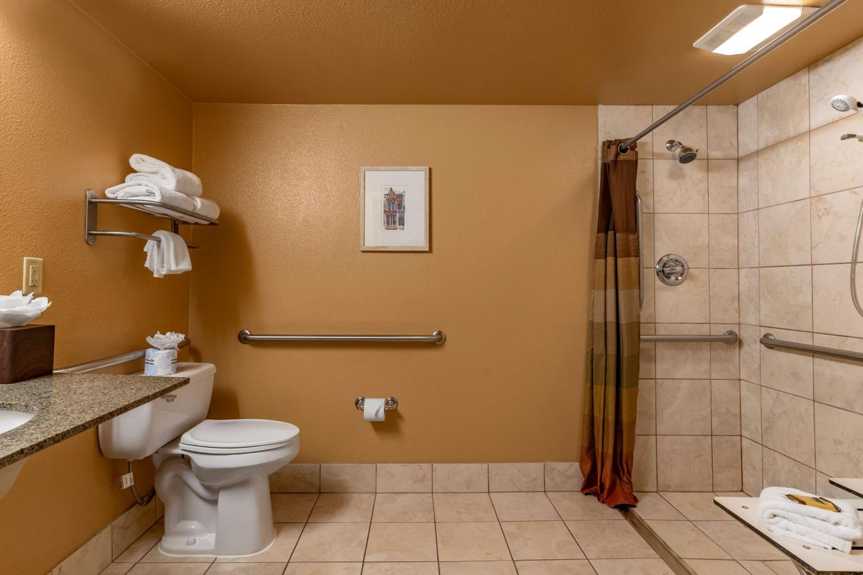 King Room with Roll-in Shower - Disability Access/Non-Smoking - Photo 5