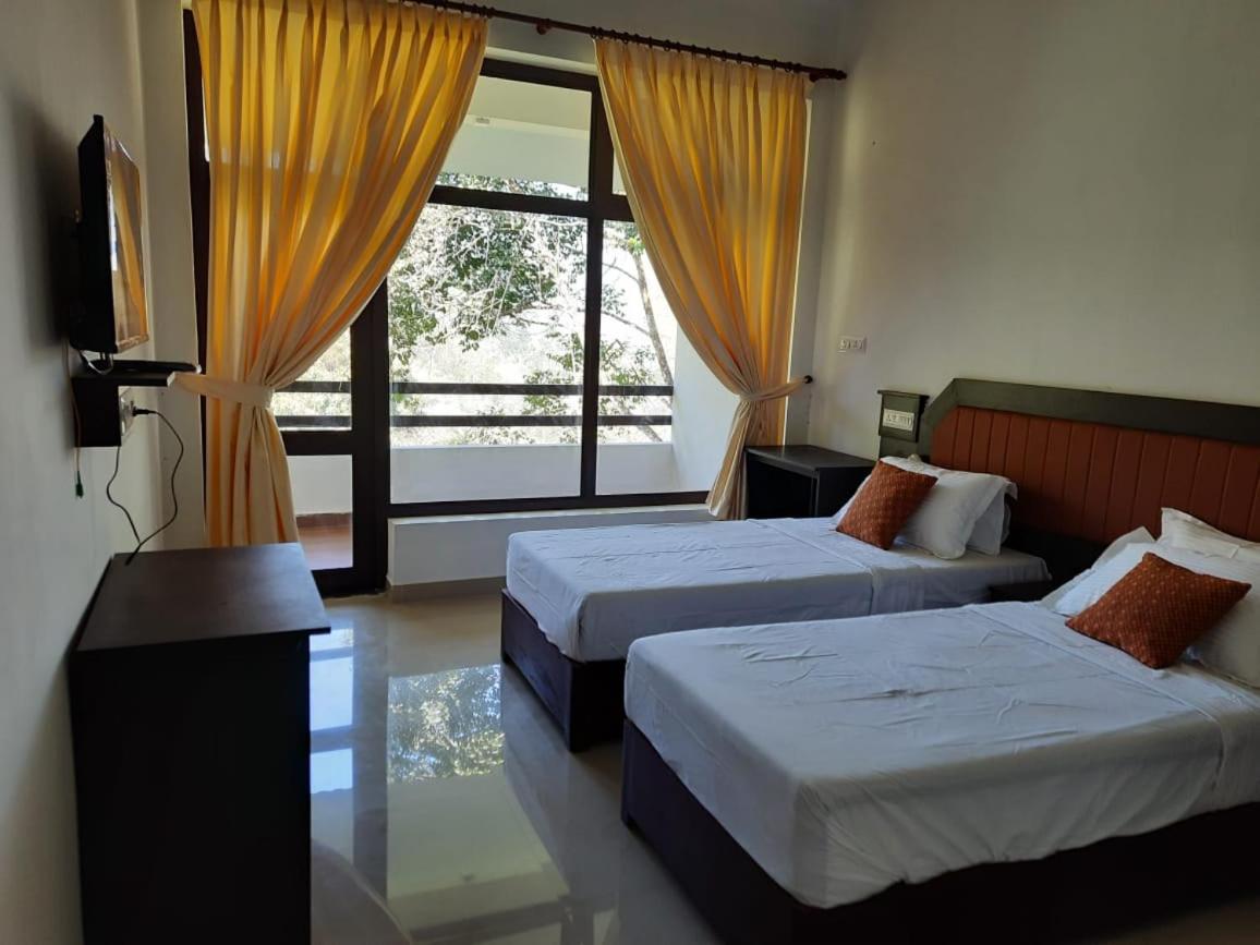 Deluxe Twin Room photo 1