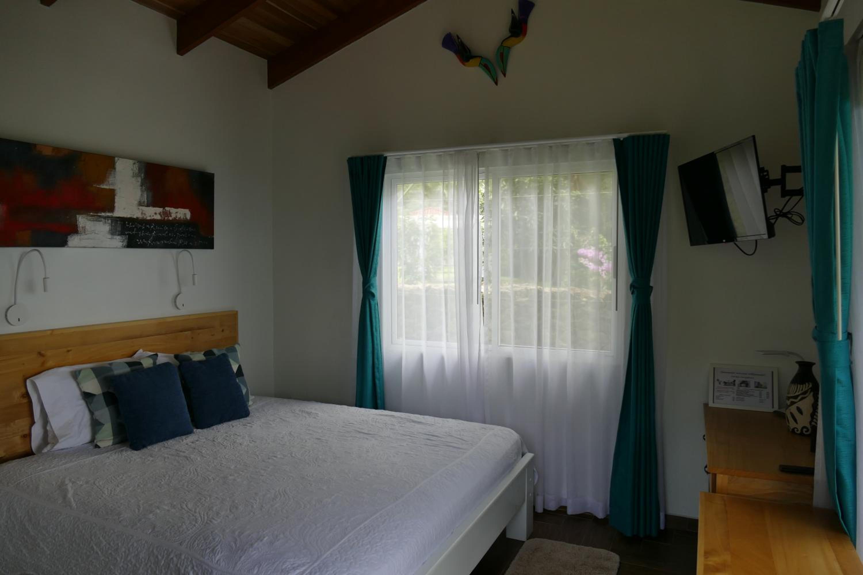 Deluxe Villa photo 3