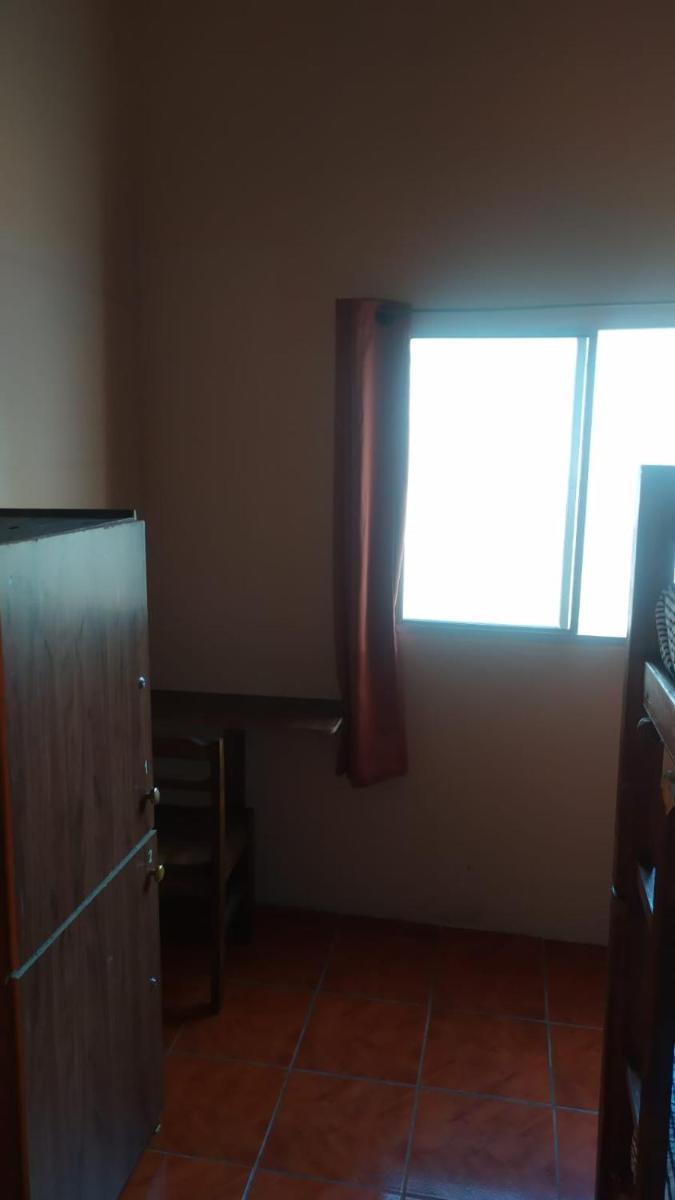 Single Bed in Mixed Dormitory Room photo 3