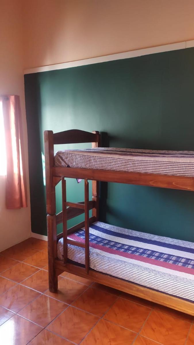 Single Bed in Mixed Dormitory Room photo 1