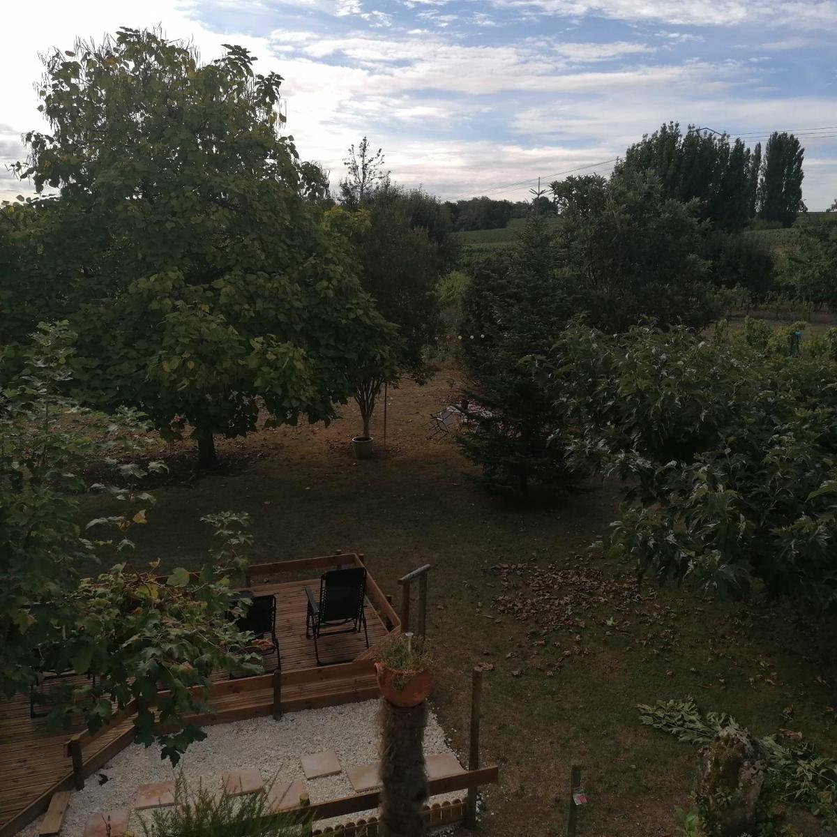 Double Room with Garden View photo 1