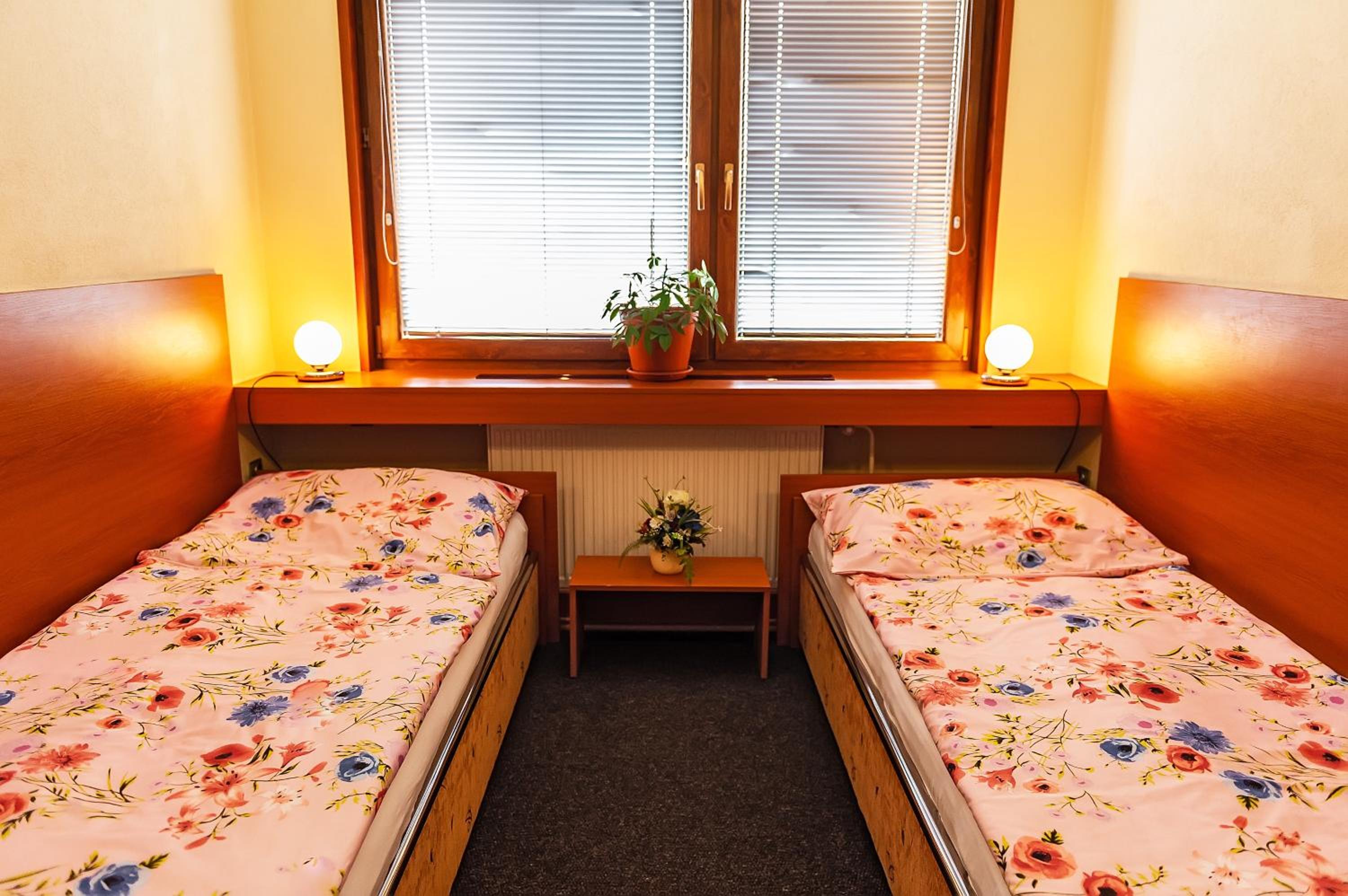Standard Twin Room photo 3