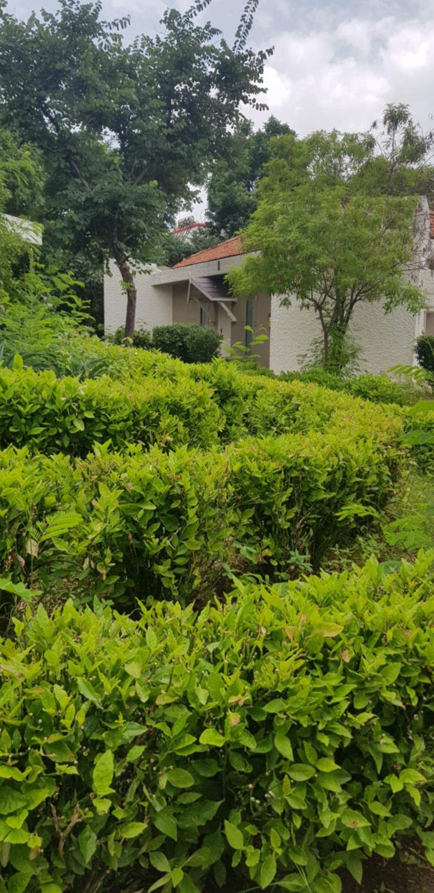 Two Bedroom Suite with Garden View - Photo 8