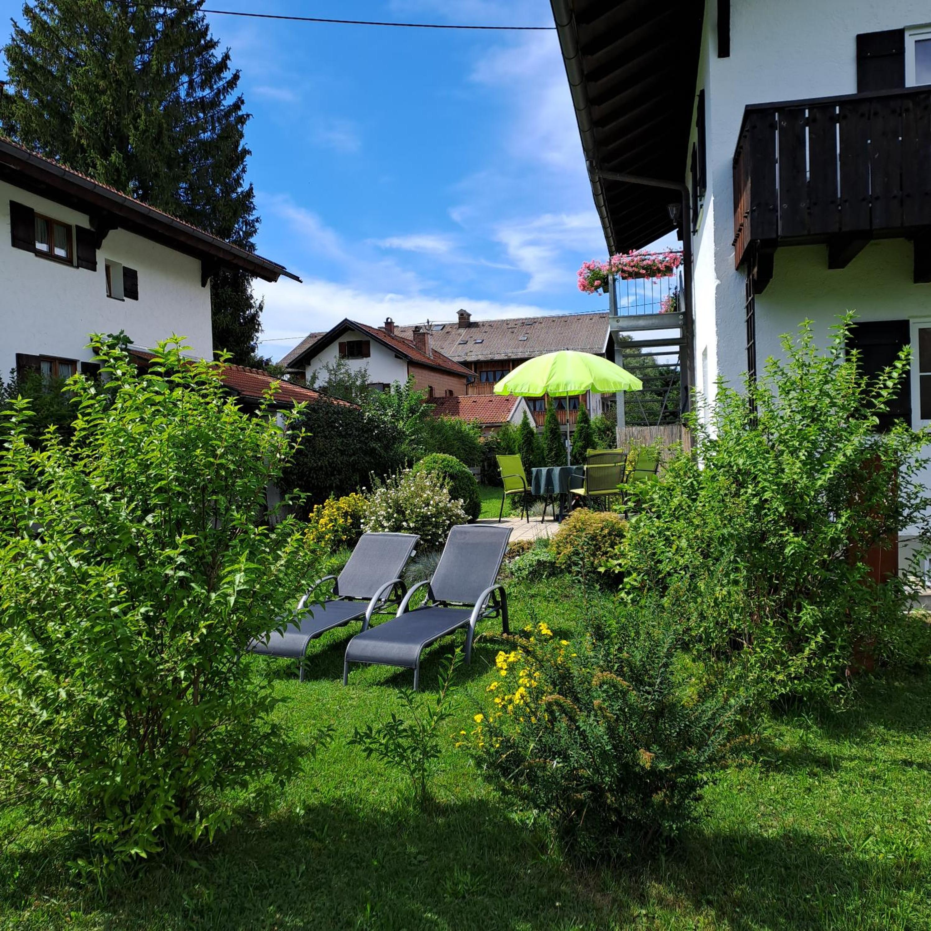 Apartment with Terrace photo 2