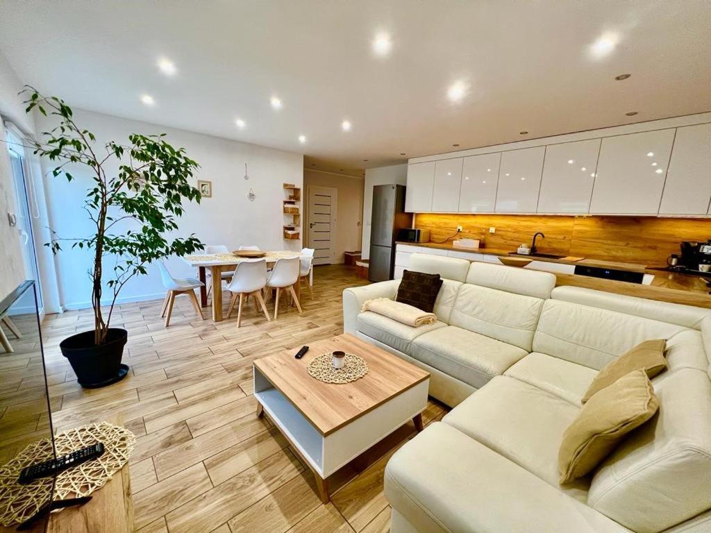 Apartment with Terrace - Photo 4
