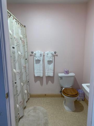 Deluxe Queen Suite photo 3