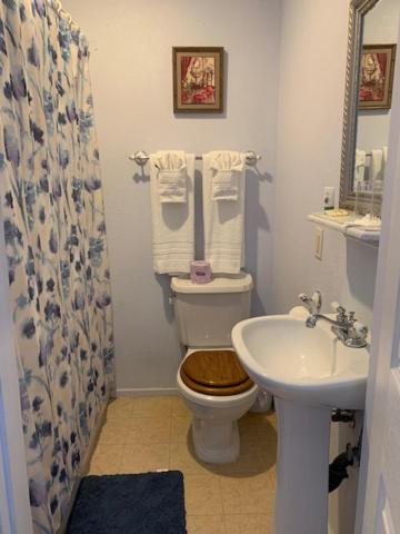 Deluxe Queen Room photo 1