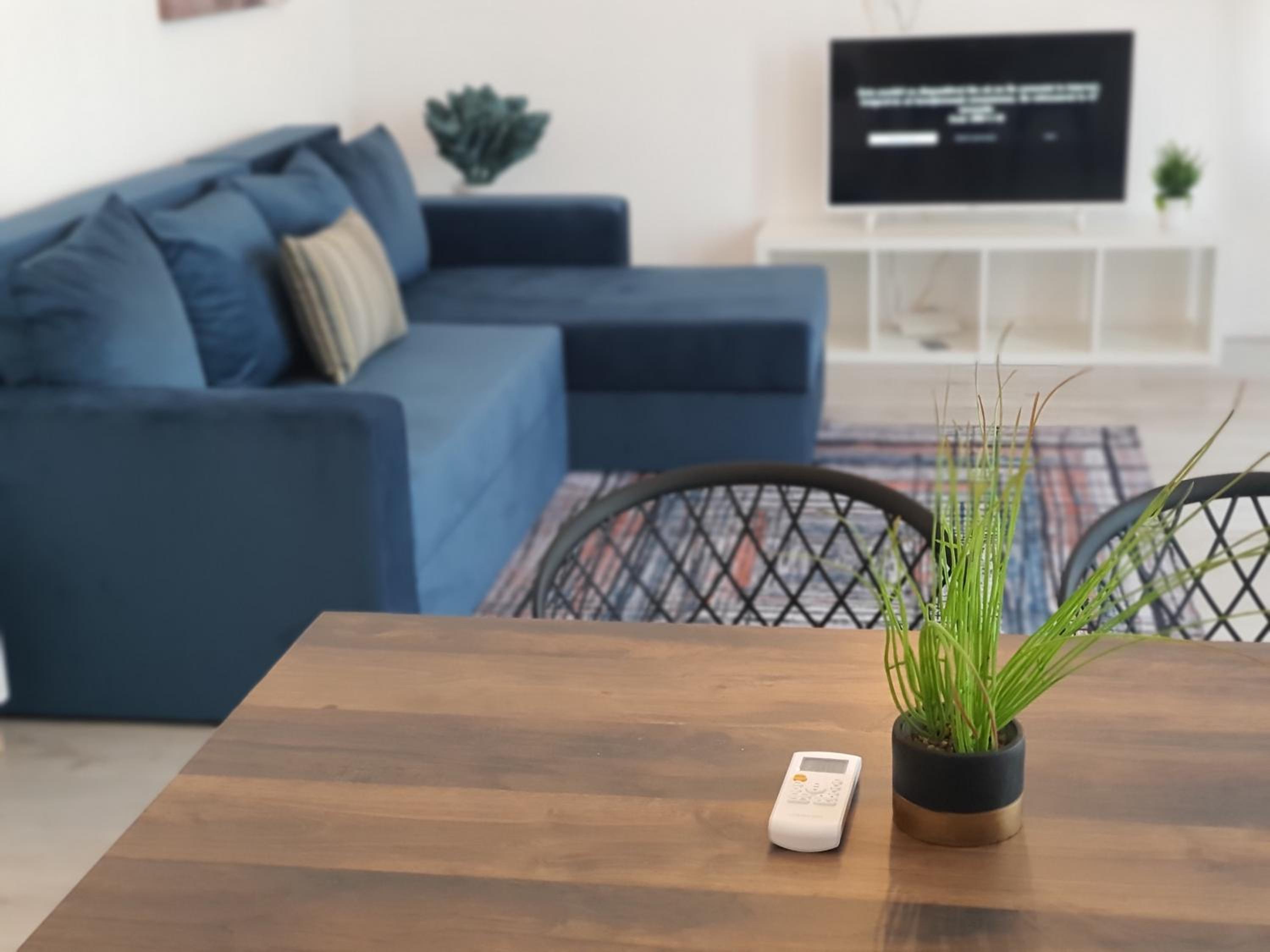 Apartment with Terrace photo 2