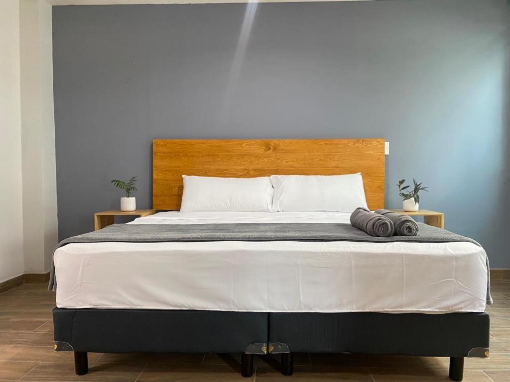 Suite - Photo 1